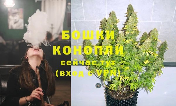 мдпв Краснослободск