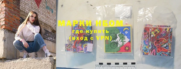 мдпв Краснослободск
