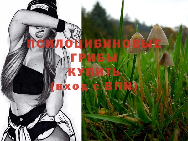 мяу мяу мука Александровское