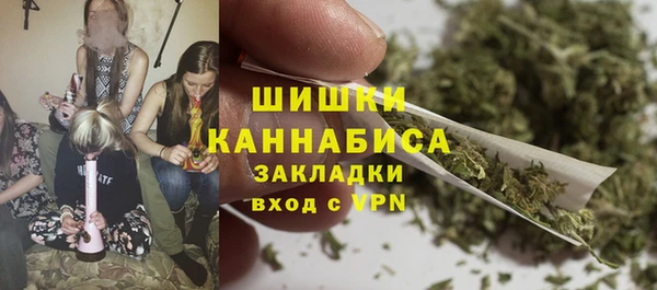 2c-b Костерёво